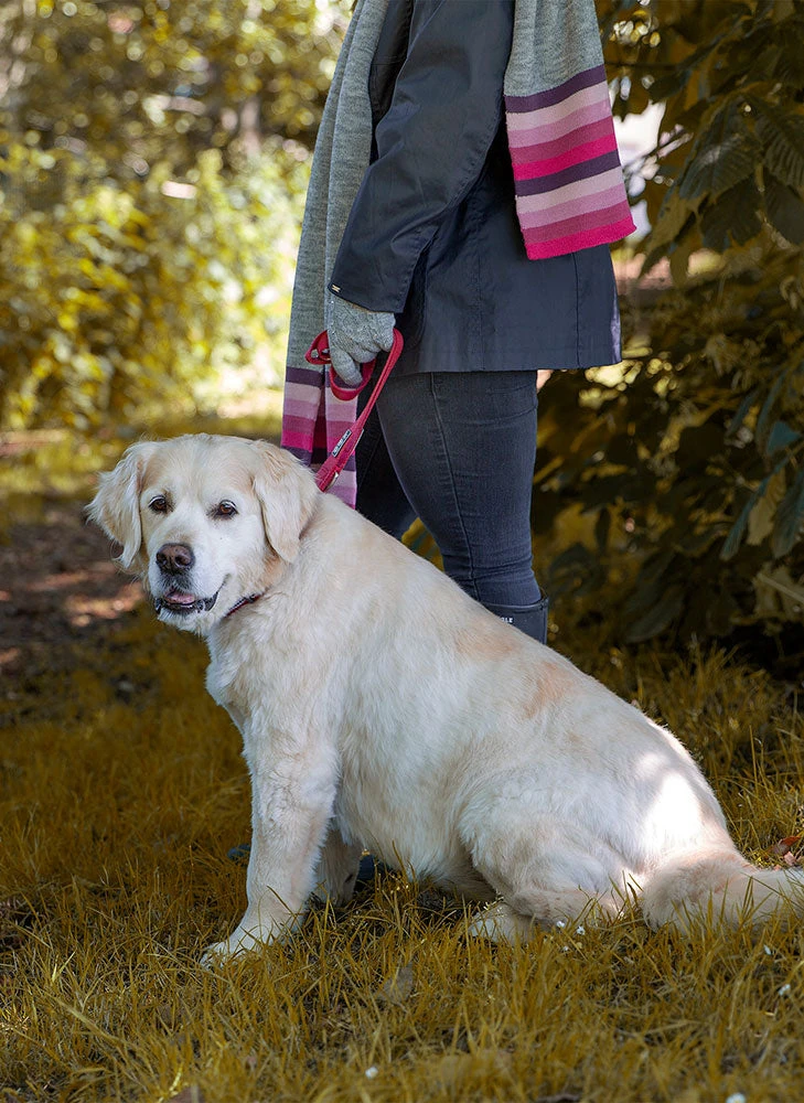 Women’s Knitted Gloves With Neon Striped Cuffs 6 Women’s Knitted Gloves With Neon Striped Cuffs - Image 4
