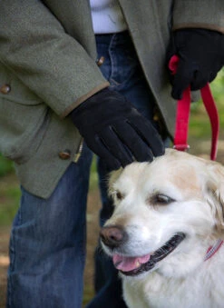 Men's Touchscreen Wool-Lined Leather Gloves With Elasticated Cuffs -Dents 5 1620 Black