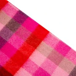Heritage Plaid Check Cashmere Scarf With Tassels -Dents cashmere scarf cherry details